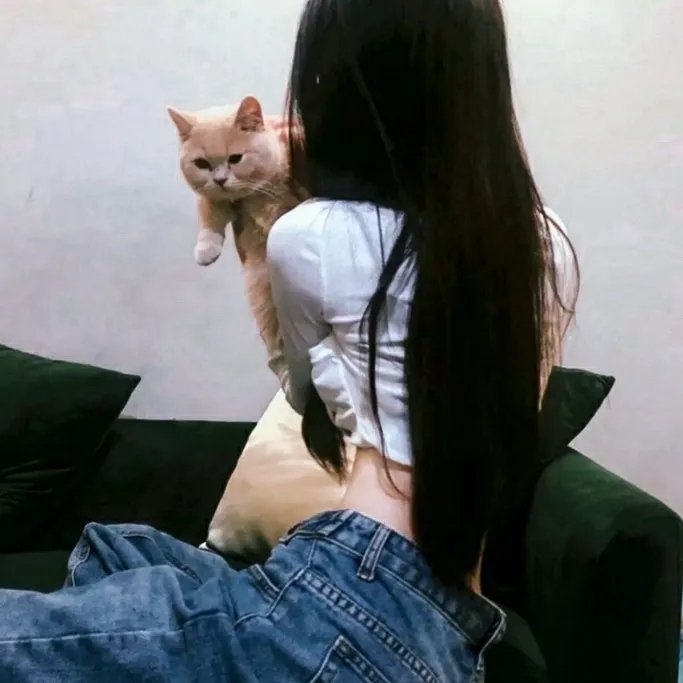 荒芜之地